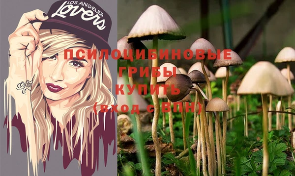 прущие грибы Алексин