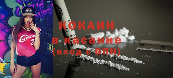 стафф Заводоуковск
