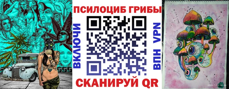 Галлюциногенные грибы Psilocybine cubensis  Батайск 